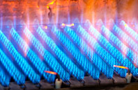 Walworth gas fired boilers
